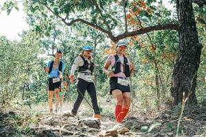 BIB: 
                            <button type="button" onclick="openModal(26097989)" class="btn btn-primary btn-sm float-right btn-popup" data-toggle="modal" data-target=".modal-high-quality">
                        <i class="fas fa-shopping-cart"></i> Add to Cart
                    </button>
                                            <button type="button" onclick="isThisMe(26097989, true)" class="btn btn-success btn-sm float-right btn-popup btn-isme hidden" data-toggle="tooltip" data-placement="bottom" title="นี่คือรูปของคุณใช่ไหม คลิกที่นี่เพื่อเอาเข้าอัลบั้ม">
                        <i class="fas fa-plus"></i> Add to album
                    </button>
                    <button type="button" onclick="isThisMe(26097989, false)" class="btn btn-warning btn-sm float-right btn-popup btn-isnotme hidden">
                        <i class="fas fa-ban"></i> Remove from album
                    </button>